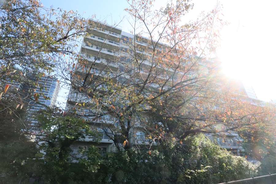 月島リバーハウスB棟の外観(北側から)