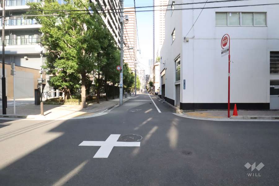 敷地南東側の前面道路　