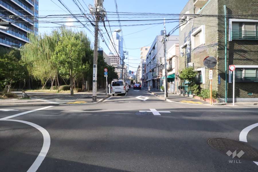 敷地北東側の前面道路　