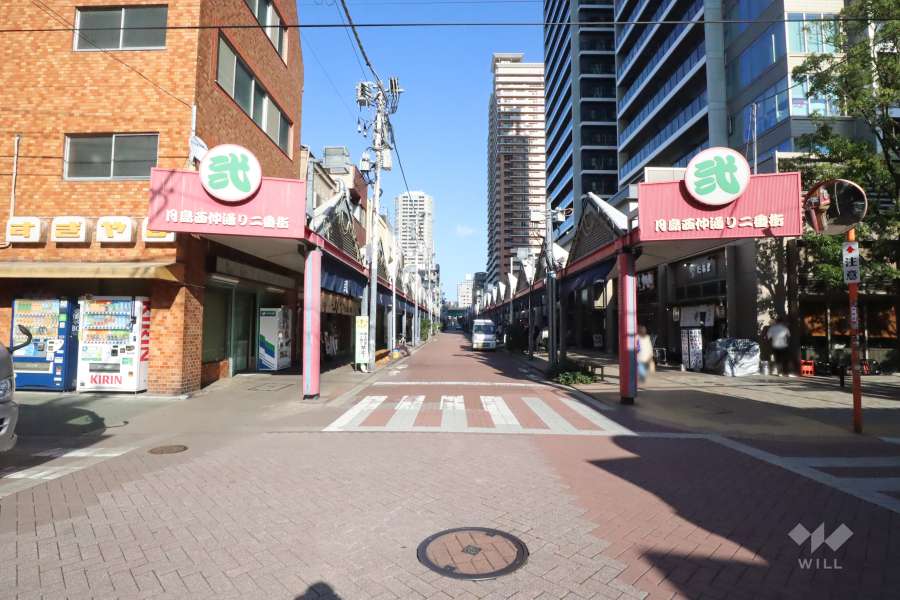 敷地北西側の前面道路　