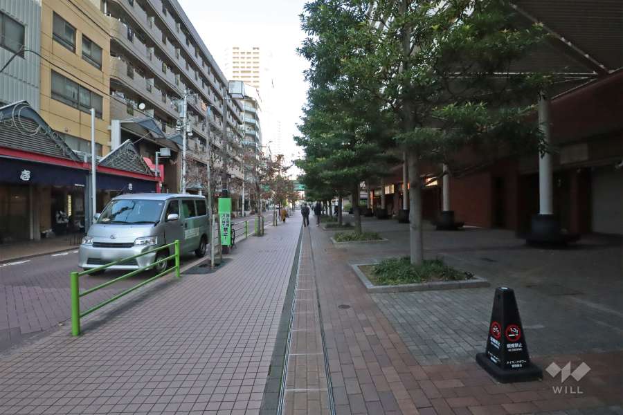 敷地北西側の前面道路（南西側から）