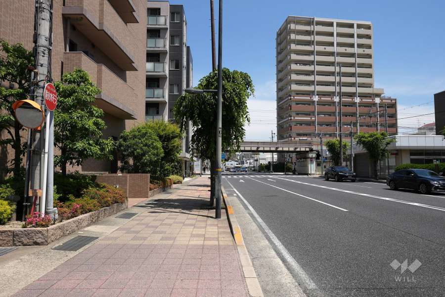 敷地東側の前面道路（南側から）