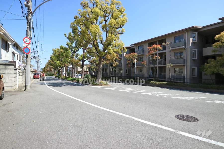 敷地南側の前面道路