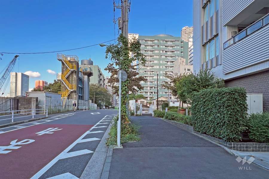 敷地の北西側前面道路（南西側から）