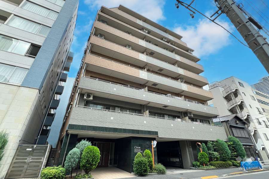 セザールベイサイド勝どきの外観（西側から）