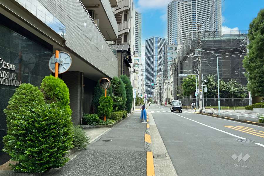 敷地南西側の前面道路