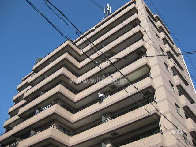 ネオ甲子園の外観（南側から）