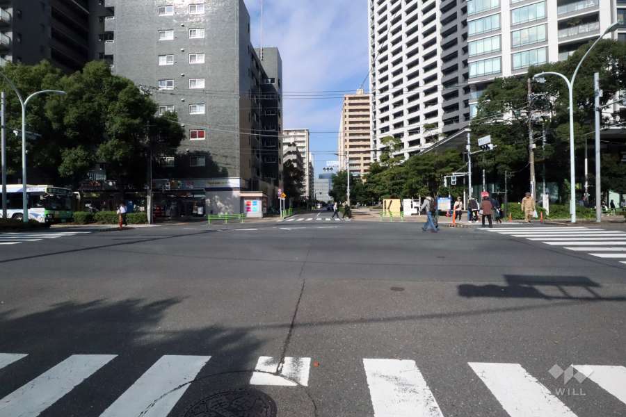 敷地南西側の前面道路(南東側から)