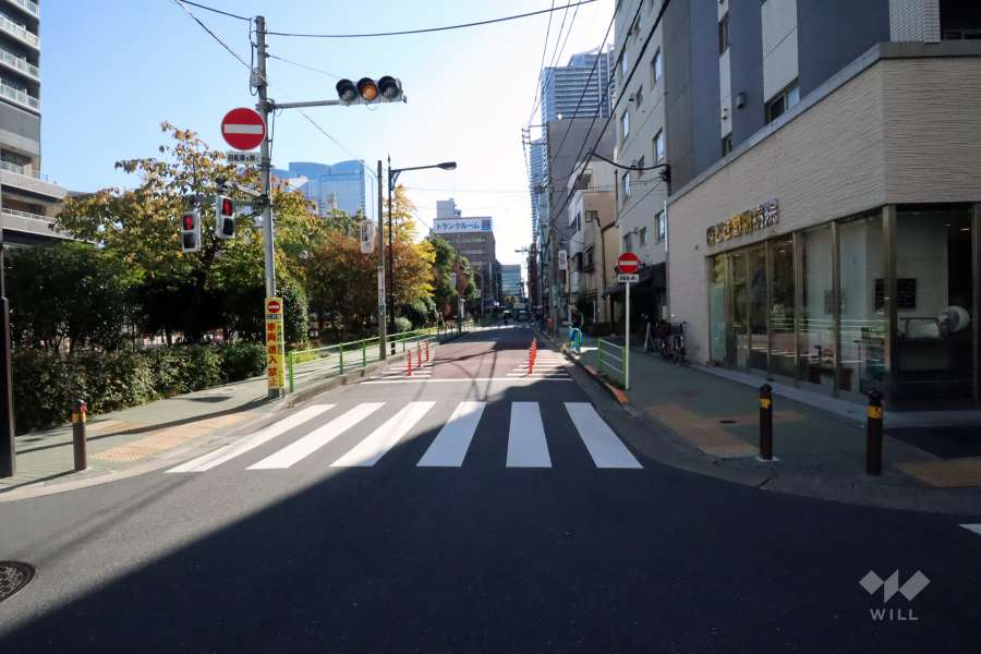 敷地南西側の前面道路(南側から)