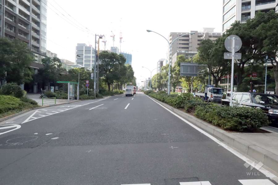 敷地北西側の前面道路(南東側から)
