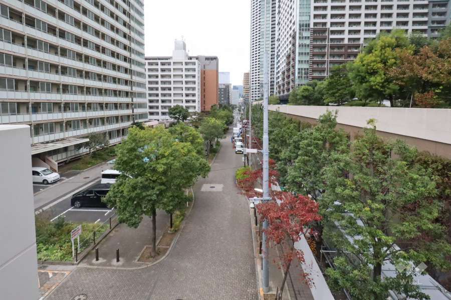 敷地南西側の前面道路(南東側から)