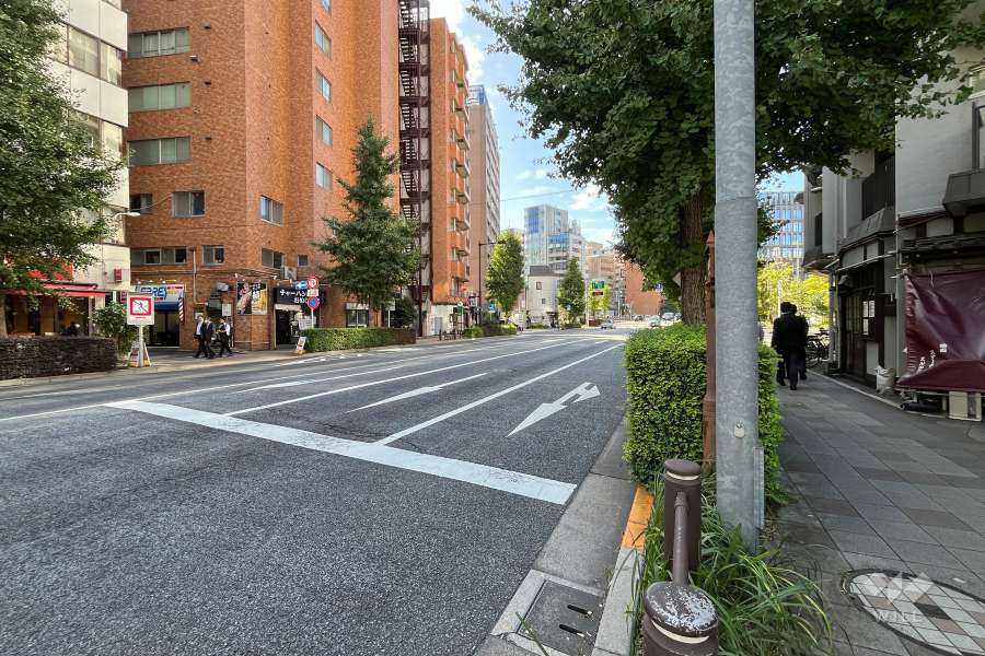 敷地の南側前面道路（東側から）