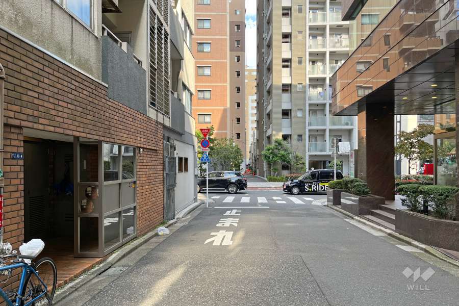 敷地南東側の前面道路　