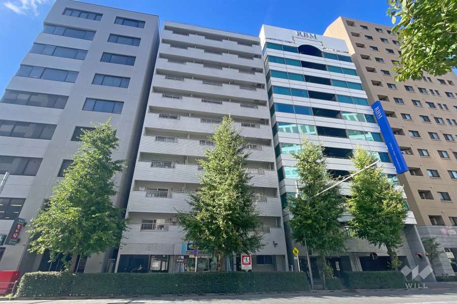 日興パレス日本橋の外観（南側から）