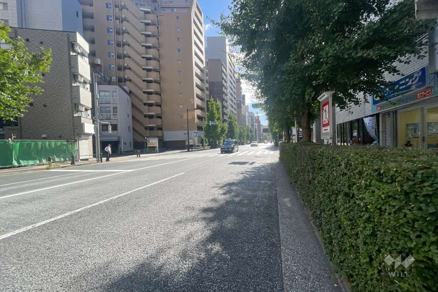 敷地南東側の前面道路　