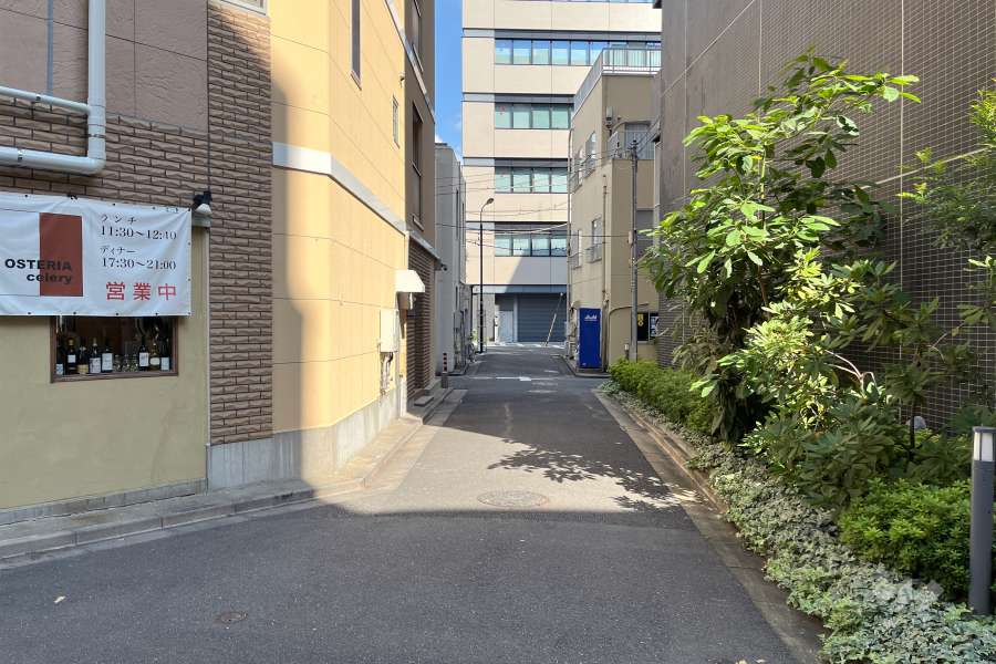 敷地西側の前面道路（南側から）