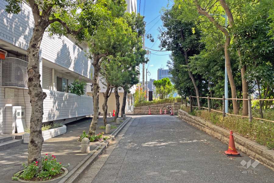 敷地の南側前面道路（西側から）