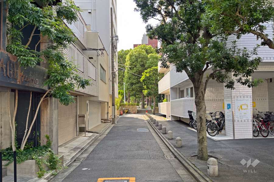 敷地の東側前面道路（北側から）