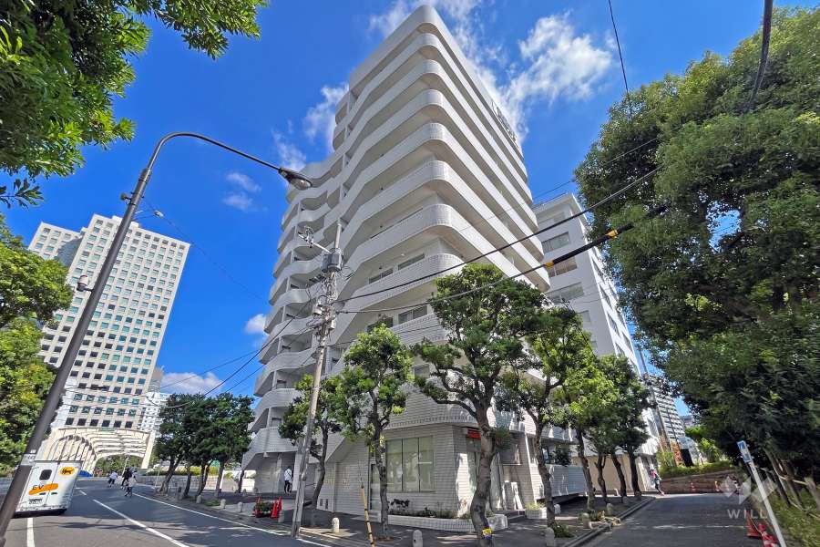 秀和新川アネックスの外観（南西側から）