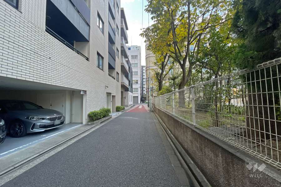 敷地の南西側前面道路（北西側から）