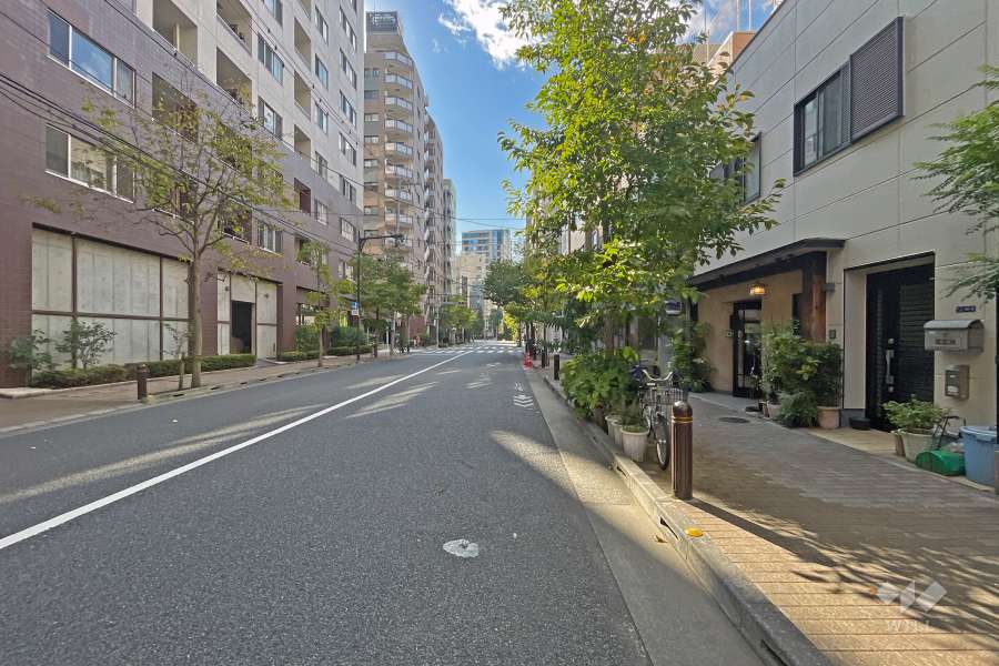 敷地の南東側前面道路（北東側から）