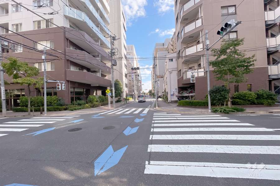 敷地南西側の前面道路（北西側から）