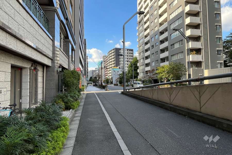 敷地の東側前面道路（南側から）