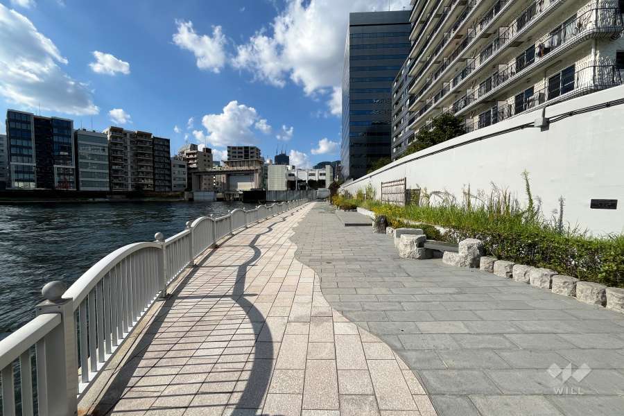 敷地の西側前面道路（南側から）