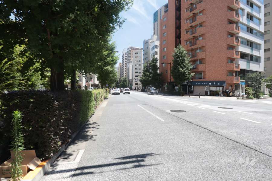 敷地南側の前面道路