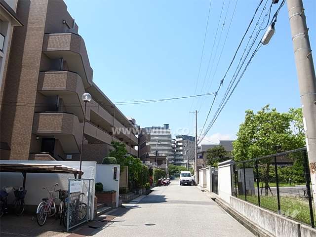 敷地北側の前面道路。1区画挟んで南側には山手幹線が走っています。