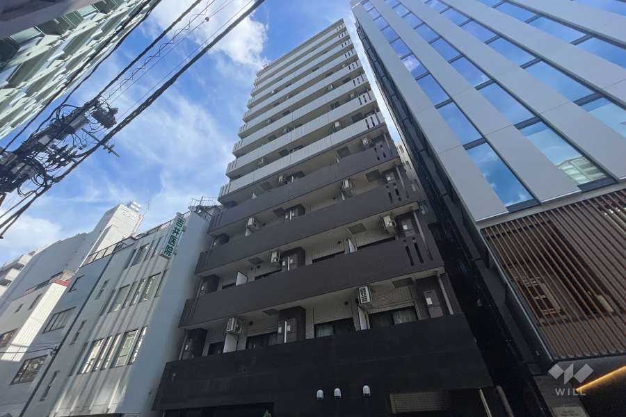 ブレシア銀座イーストの外観（南西側から）