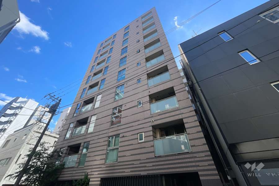 グリーンパーク新富町の外観（南西側から）