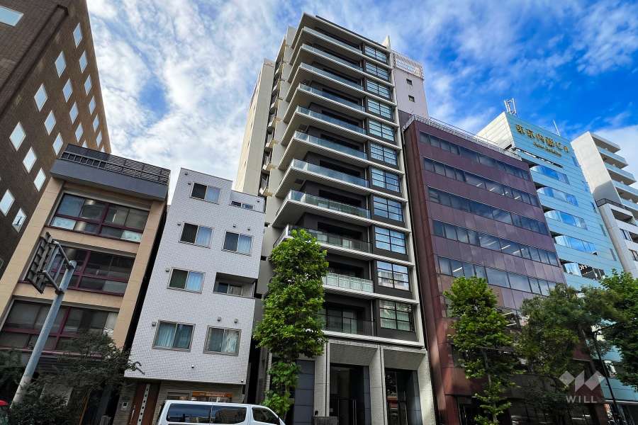 ユニーブル銀座東の外観（南東側から）