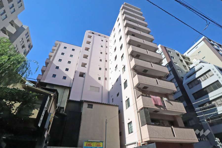 パロス新富町の外観(南東側から)