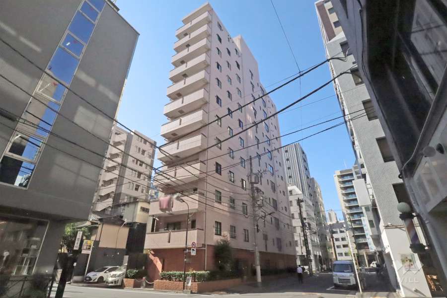 パロス新富町の外観(北東側から)