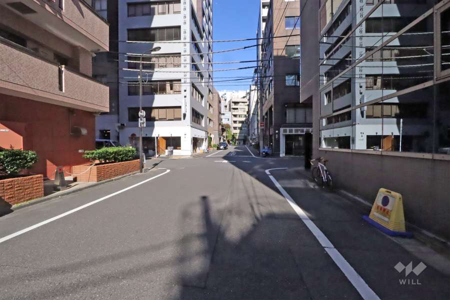 敷地東側の前面道路(南側から)