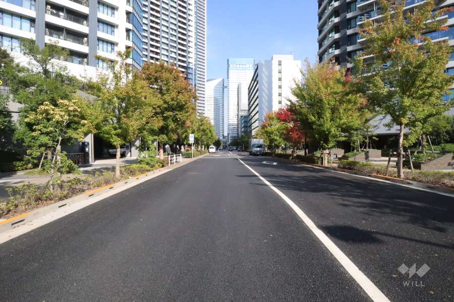 敷地南東側の前面道路(南西側から)