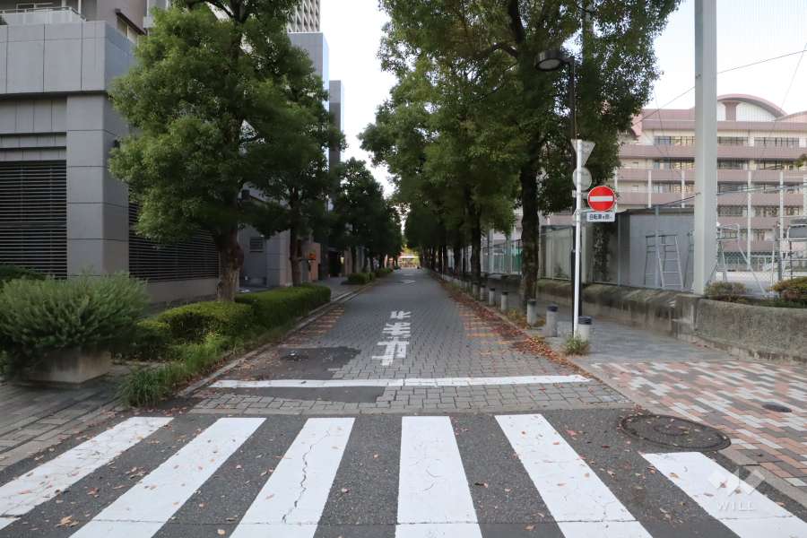 敷地北東側の前面道路(南東側から)