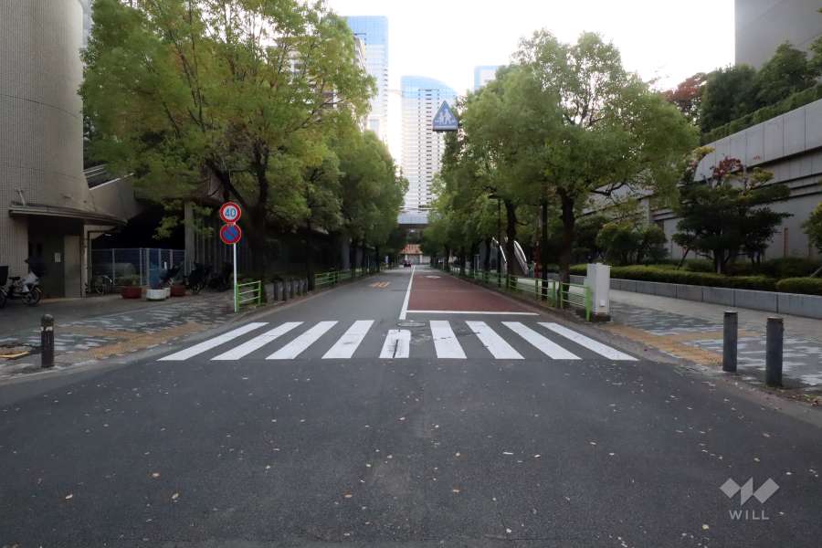 敷地南東側の前面道路(西側から)