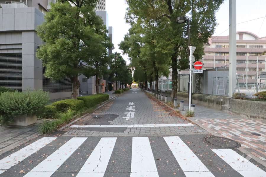 敷地北東側の前面道路