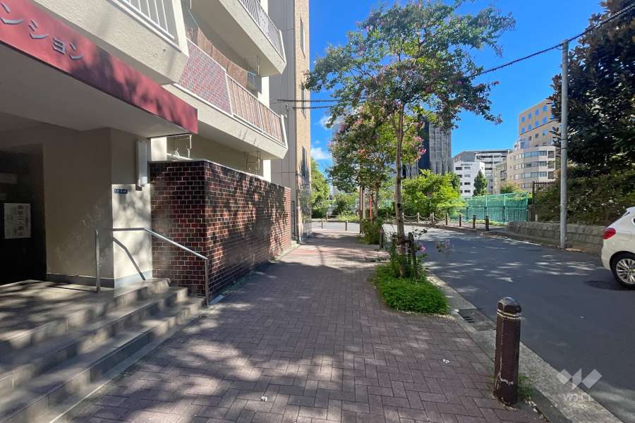 敷地東側の前面道路