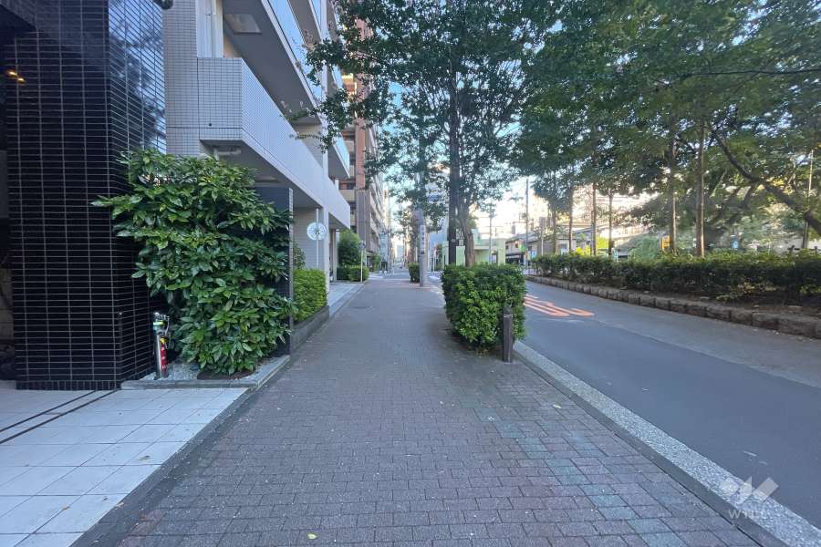 敷地北東側の前面道路