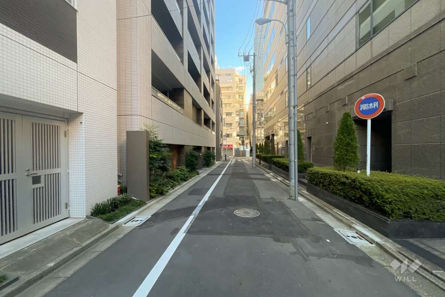 敷地の南東側前面道路（南西側から）