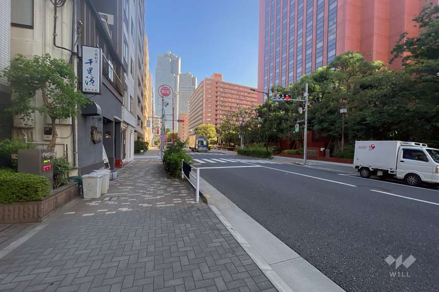 敷地の南側前面道路（西側から）