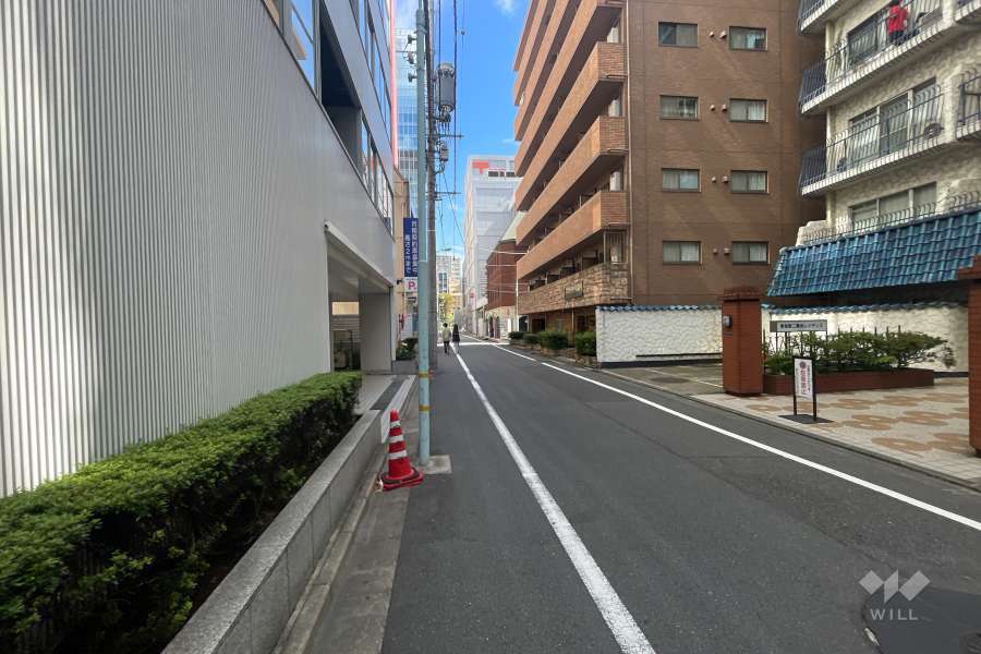 敷地の南東側前面道路（南西側から）