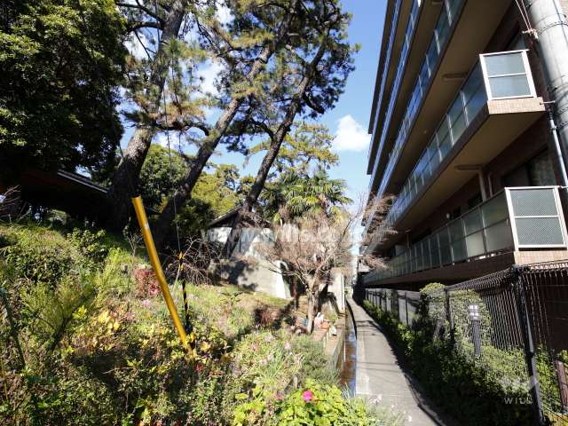 敷地西側は夙川の土手です。