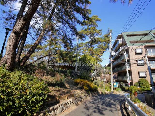 夙川沿いには遊歩道が整備されています。