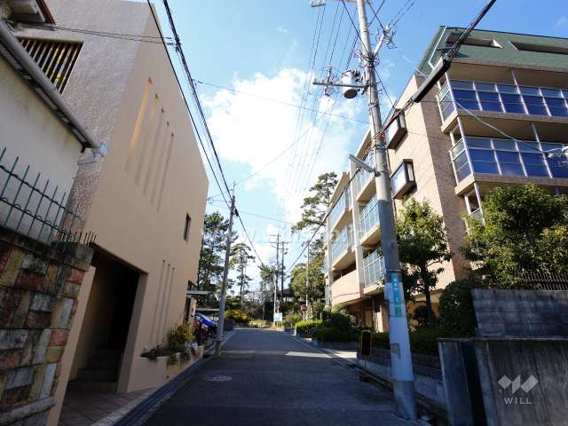 敷地南側の前面道路。