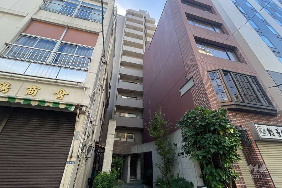 スカール築地の外観（北西側から）