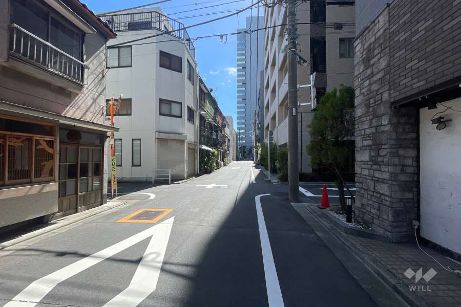 敷地の北東側前面道路（南東側から）